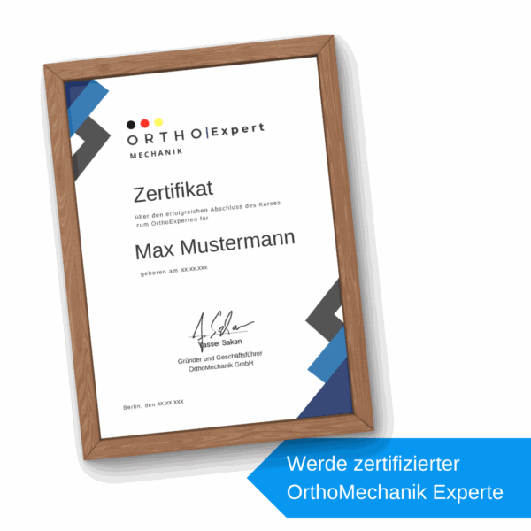 Zapeli Experten Online Kurs – Jetzt kostenfrei registrieren für Muskeltherapie & Regeneration - Image 3